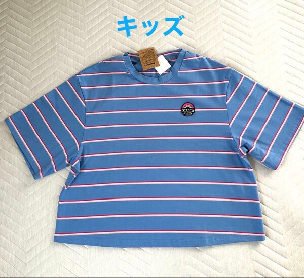 キッズchummy ボーダー柄ショート丈Tシャツ ブルー系 S