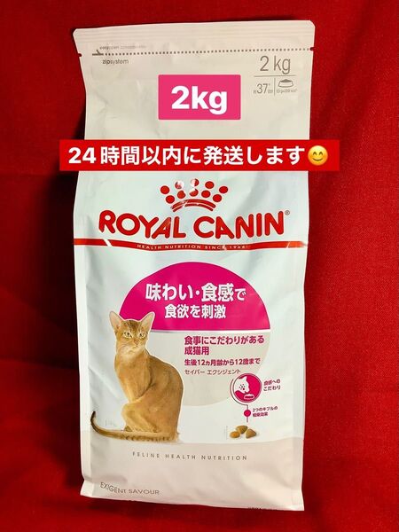 ロイヤルカナン セイバーエクシジェント 味わい・食感で食欲を刺激 2kg ♪24時間以内に発送可能♪