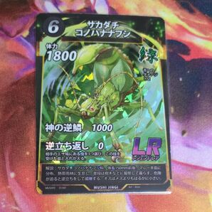 サカダチコノハナナフシ LR 蟲神器