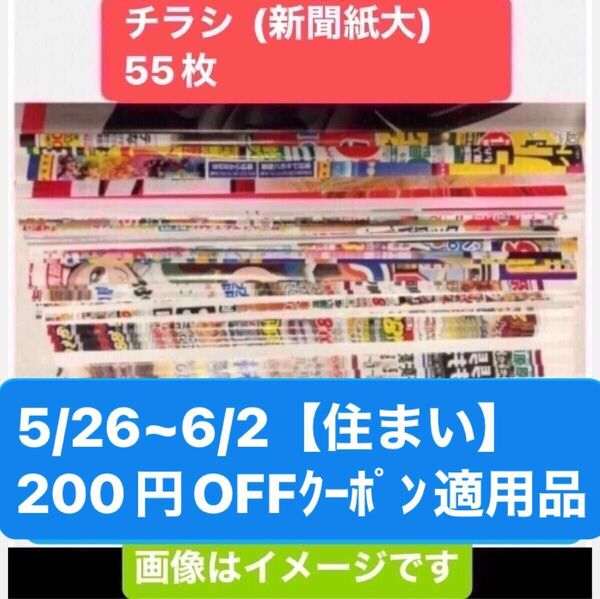 チラシ (新聞紙大) 55枚