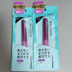 最終値下げ品 デジャヴュ 自まつげ際立てタイプ ラッシュアップマスカラE 1 ブラック フィルムタイプ