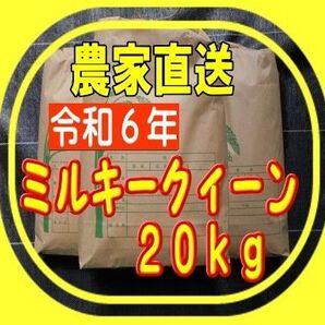 令和6年新米ミルキークイーン玄米20Kg
