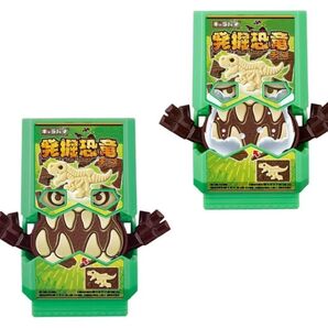 SGライダーゴチゾウ02&03 キャラパキゴチゾウセット
