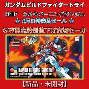 #特別在庫値下げ売切セール 【新品・未開封】HGBF カミキバーニングガンダム