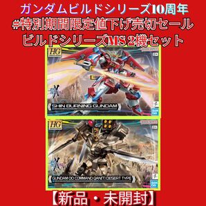 #特別限定特別値下げセール HG ガンダムビルドシリーズ 2機セット