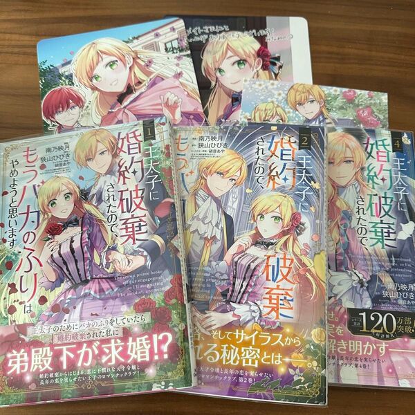王太子に婚約破棄されたので、もうバカのふりはやめようと思います 狭山ひびき 南乃映月