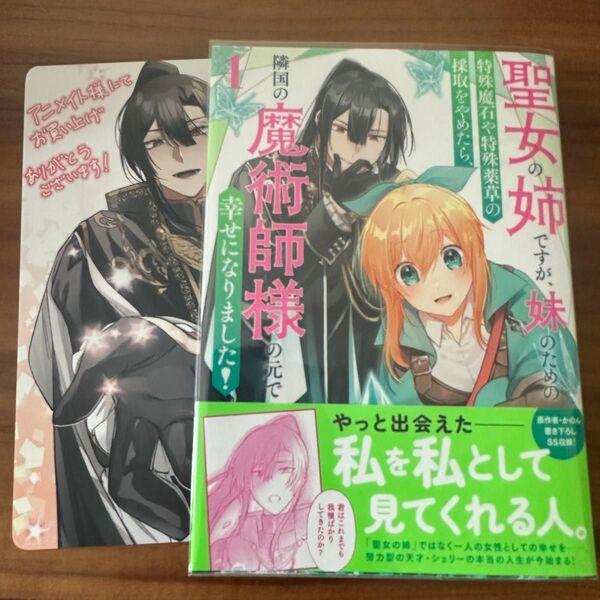 聖女の姉ですが、妹のための特殊魔石や特殊薬草の採取をやめたら、隣国の魔術師様の元で幸せになりました! 絵庭明 かのん