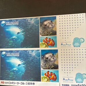 新江ノ島水族館招待券2枚