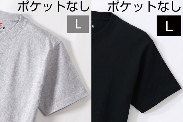 【2枚組】日本企画【Lサイズ】ヘインズ BEEFY-T ヘビーウエイト ビーフィー