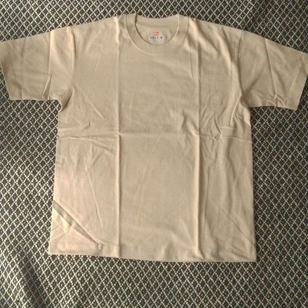 【別注】 BEAUTY&YOUTH UNITED ARROWS 別注 ヘインズ BEEFY-T/ビーフィー Tシャツ