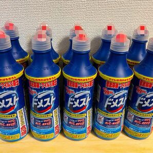 未使用良品【ドメスト】10本