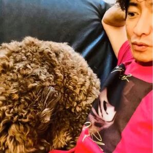 シュプリームTシャツ Mary J Tシャツ Supreme