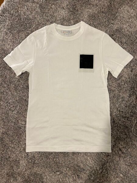 ラコステ ポラロイド 半袖 Tシャツ ホワイト系 LACOSTE Polaroid メンズ S