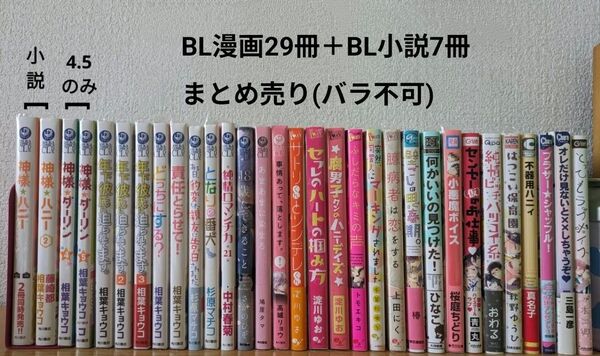 BL漫画 BL小説 36冊 まとめ売り BL BLコミック ボーイズラブ