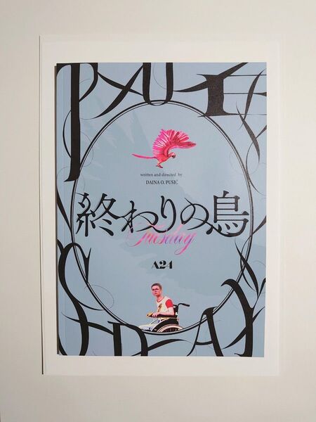 未読品 映画パンフレット 『終わりの鳥』