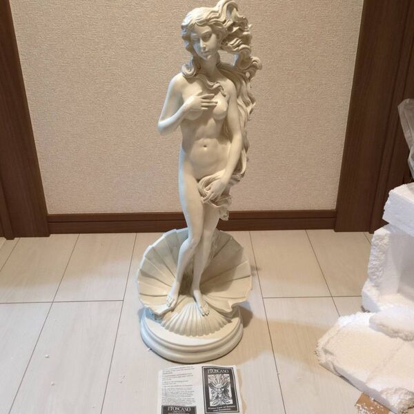 TOSCANO ヴィーナスの誕生 ビーナスの誕生 未使用 美品 彫像 置物 美術品 マニア オブジェ 定価55000円