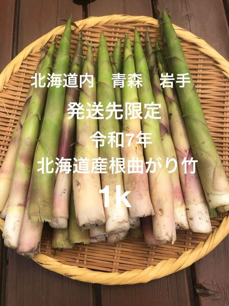令和7年産 発送先限定 北海道、青森、秋田、岩手!朝採り北海道産根曲がり竹 1k