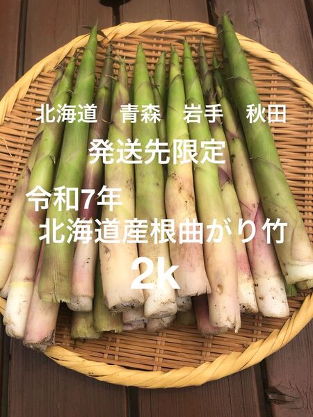 令和7年 発送先限定 北海道、青森、岩手、秋田!朝採り北海道産根曲がり竹 2k