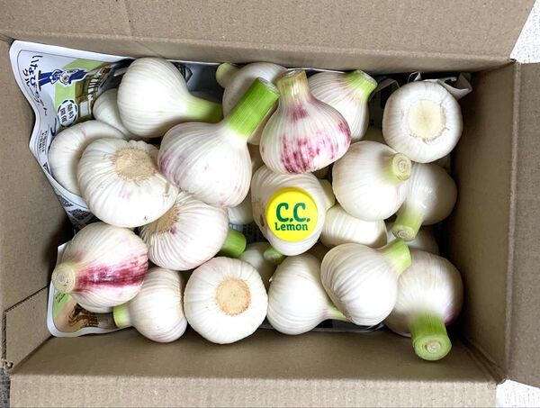 令和7年 採れたて 生にんにく 新ニンニク 大蒜2kg 32個 健康野菜