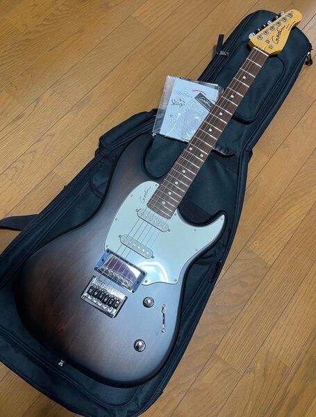美品 ゴダン Godin Session HT ストラト