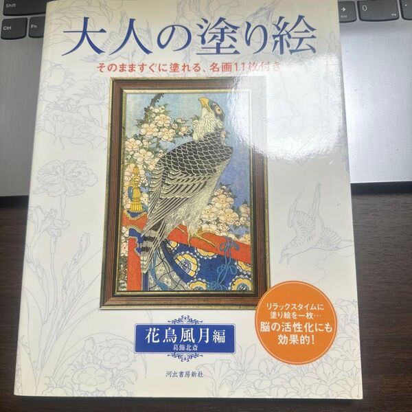 大人の塗り絵 そのまますぐに塗れる、名画11枚付き 花鳥風月編 葛飾北斎/〔画〕 河出書房新社編集部/編