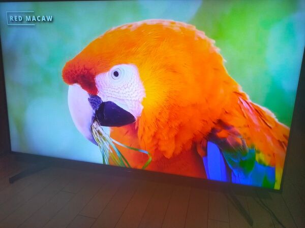 SONY BRAVIA KJ-55x8550G【LEDバックライト新品交換済】