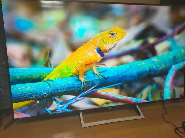 SONY BRAVIA KJ-65X8500E(2018年製)