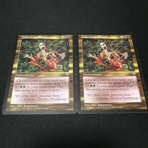 MTG「死体の花」 MIR-JP:2枚 マジックザギャザリング