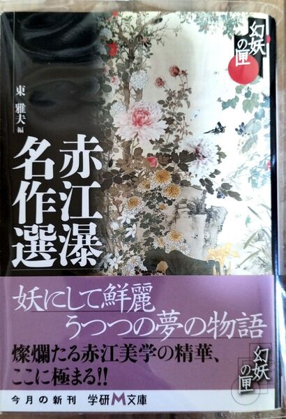 値下げしました 赤江瀑名作選 幻妖の匣 帯あり 初版本 絶版本 匿名配送 送料無料