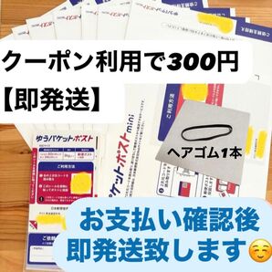 【即発送】ゆうパケットポストmini ゆうパケットポストミニ 8枚 ゆうパケットポストシール10枚 ヘアゴム1本