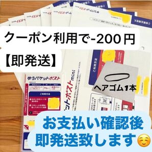 【即発送】ゆうパケットポストmini ゆうパケットポストミニ 6枚 ゆうパケットポストシール20枚 ヘアゴム1本