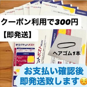 【即発送】ゆうパケットポストmini ゆうパケットポストミニ 6枚 ゆうパケットポストシール20枚 ヘアゴム1本