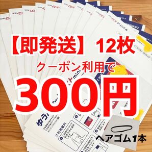【即発送】ゆうパケットポストmini ゆうパケットポストミニ 12枚 ヘアゴム1本