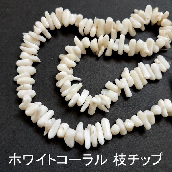 白サンゴ 枝チップ 1連(40cm)