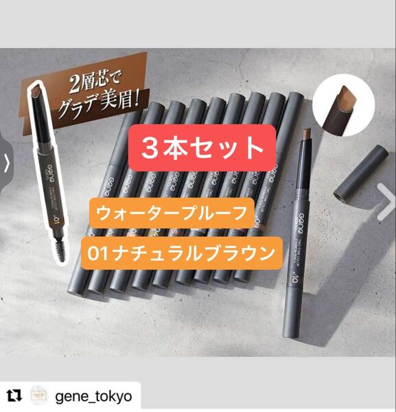 3本 01 ナチュラルブラウンの髪に【新品】アイブロウペンシル ツートンカラー ウォータープルーフ 三角芯 スクリューブラシ付き