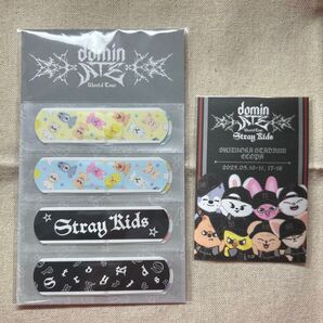 straykids スキズ エコパ アプグレグッズ ステッカー 絆創膏