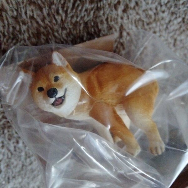 柴犬 フィギュア 置物 ふんばりーぬ ふんばり〜ぬ