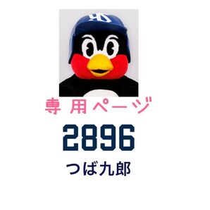 専用ページ