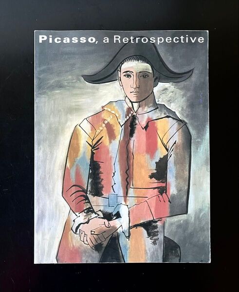 図録画集 ルートヴィヒ・コレクション ピカソ回顧展 作品集 Picasso パブロ・ピカソ 西洋絵画 作品集