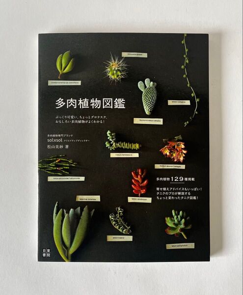 多肉植物図鑑 ぷっくり可愛い、ちょっとグロテスク、おもしろい多肉植物がよくわかる! 松山美沙 珍奇植物 アガベ sol×sol