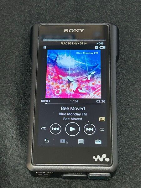 SONY NW-WM1A+WMC-NWH10です