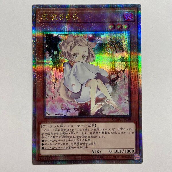 遊戯王 灰流うらら クオシク 25thSE 25th 絵違い