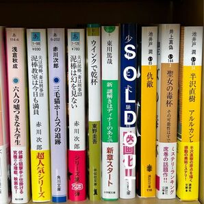 【こんきつねさん専用】小説 文庫本よりどり2冊 600円