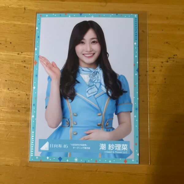 潮紗理菜 生写真 日向坂46