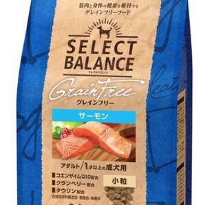 【即日発送】セレクトバランス グレインフリー アダルト サーモン 小粒 1才以上 成犬用 2.4kg×2袋 ドッグフード