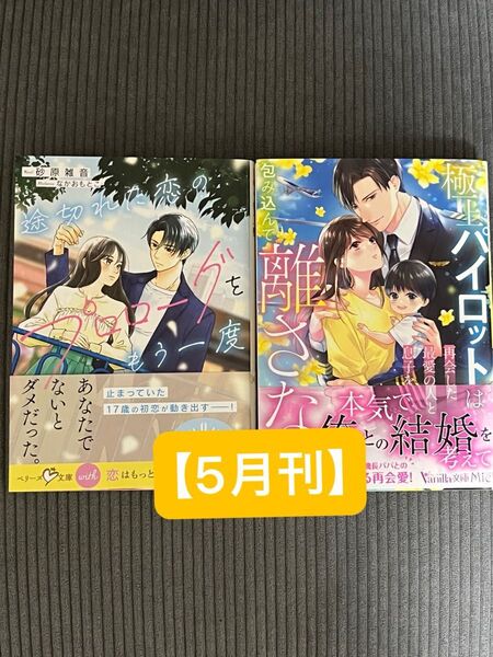 【5月刊】レディース文庫 2冊セット