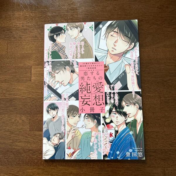 30歳まで童貞だと魔法使いになれるらしい 7巻特装版小冊子