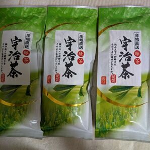 宇治茶120g 3本セット 緑茶