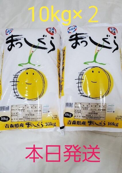青森県産 まっしぐら 10kg 2袋
