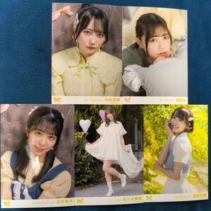 ラフラフ ラフ×ラフ ライブイベント時物販品2025年「君ときゅんと」ver.生写真5枚セット